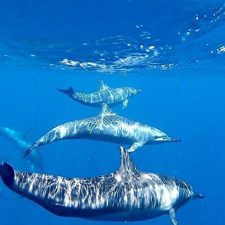Ufa Escape Hotel Dhigurah  Ngoại thất bức ảnh